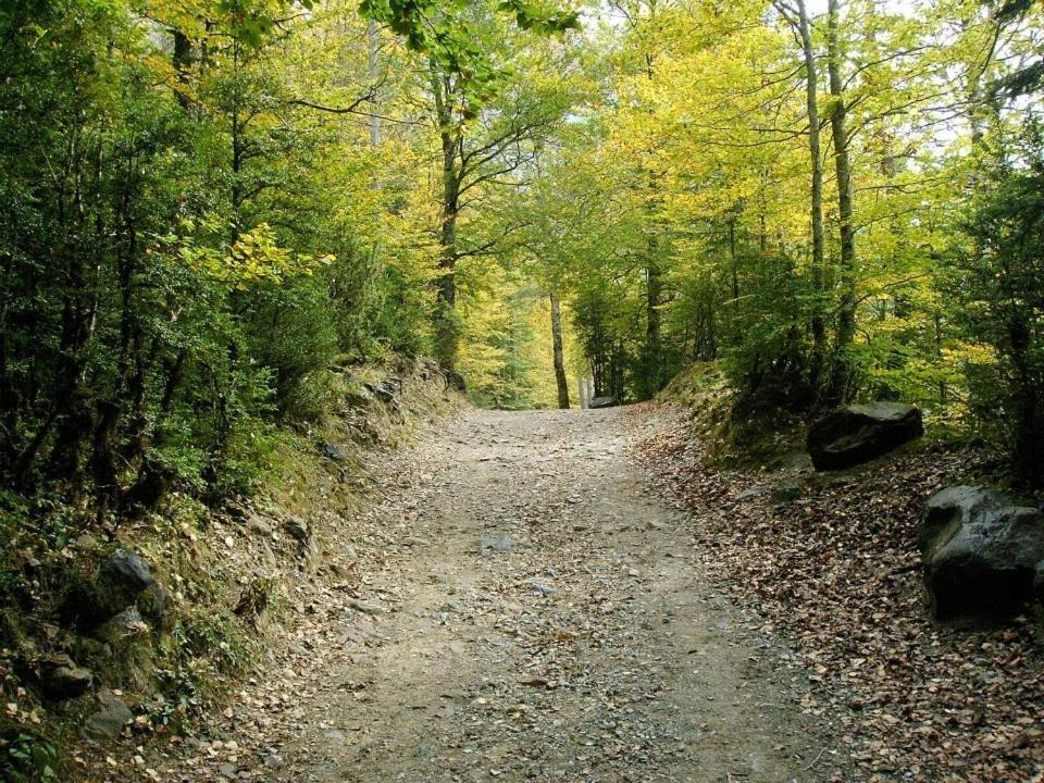 Apartamentos Pirineos Ordesa El Pueyo de Araguás المظهر الخارجي الصورة